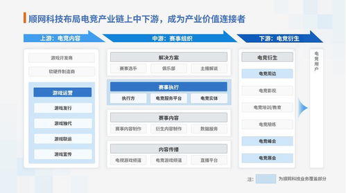 顺网科技的300天 新生和突破
