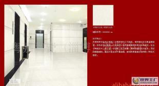 厂家直销佛山欧莱克透晶砖800*800_建筑建材_世界工厂网中国产品信息库