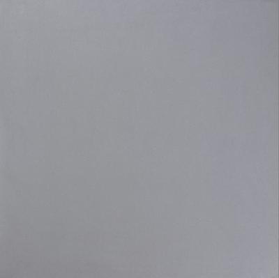 【佛山适合东南亚市场市场的瓷砖工厂】图片_品牌_生产供应商厂家-佛山市红珠建材