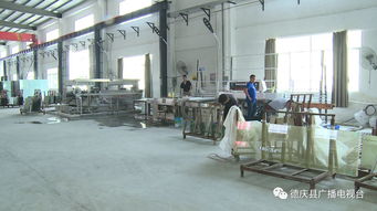 当年引进当年投产,在肇庆这个县城办厂速度就是快