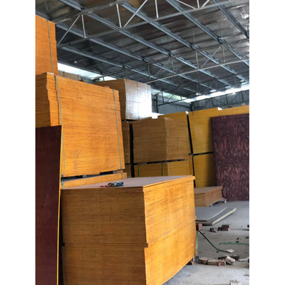 梅州建筑木工支模板 建筑木模板厂家 工地建筑模板公司