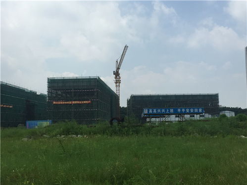 佛山轻质砖批发给您好的建议 润合建材