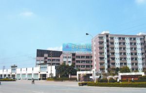建筑玻璃_佛山市荣冠玻璃建材