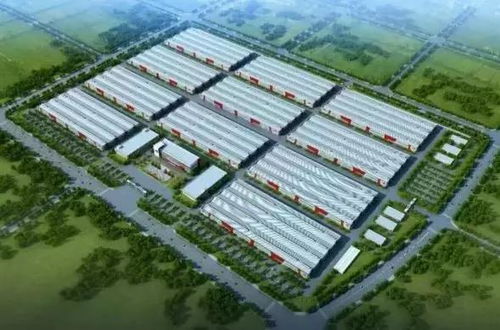 碧桂园23亿建家居产业园生产整装卫浴,产品质量谁管控